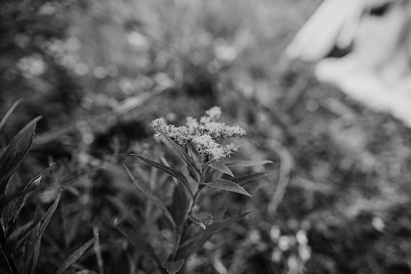 untitled-139-2