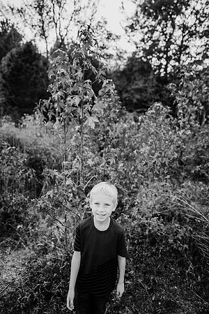 untitled-539-2