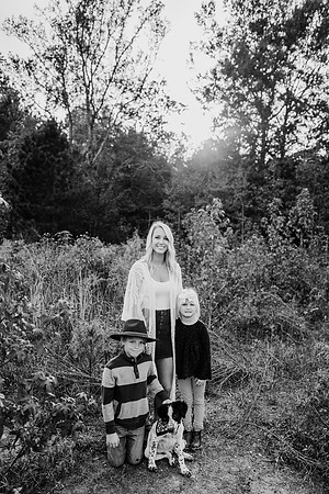 untitled-384-2