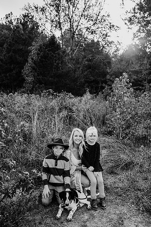 untitled-385-2