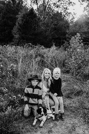 untitled-392-2