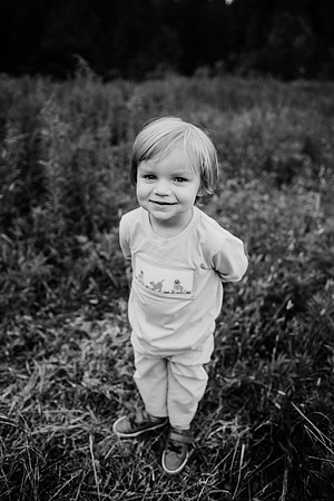 untitled-239-2
