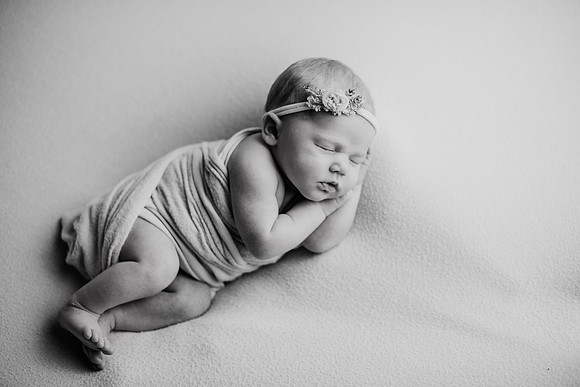 untitled-259-2