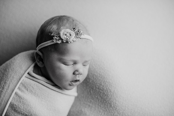 untitled-209-2