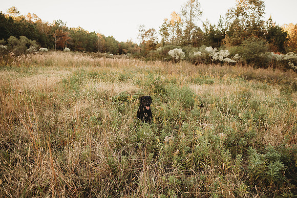 untitled-410