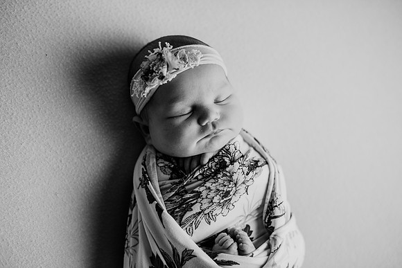 untitled-534-2