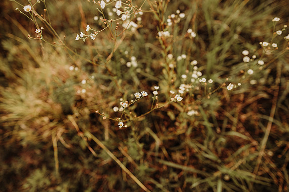 untitled-321