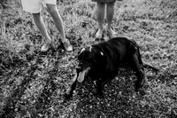 untitled-5-2