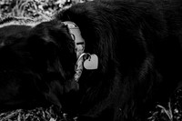 untitled-3-2