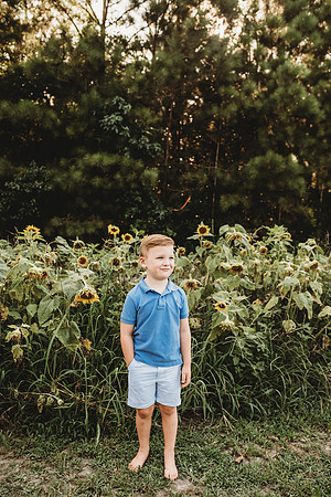 untitled-1447