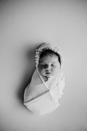 untitled-730-2