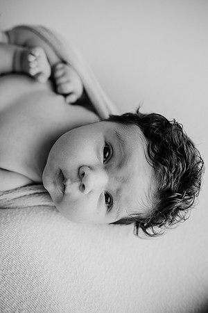 untitled-685-2