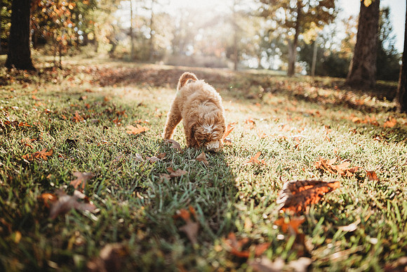 untitled-15