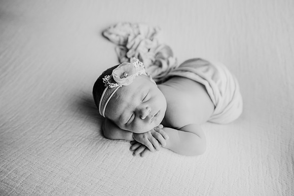 untitled-242-2