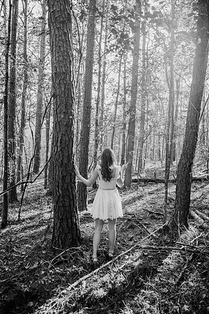 untitled-387-2