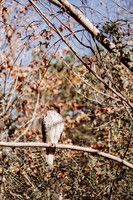 untitled-24