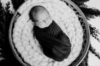 untitled-493-2