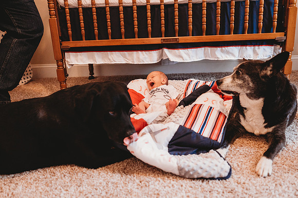 Newborn-Easton-240