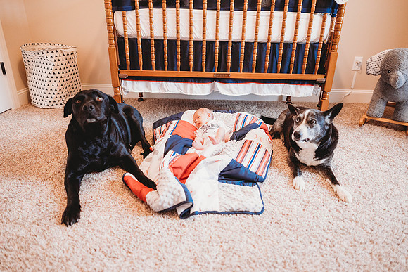 Newborn-Easton-230