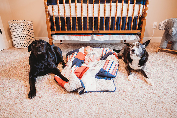 Newborn-Easton-65