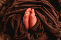 Newborn-Chandler-28