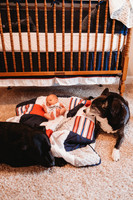 Newborn-Easton-57