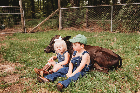On the Farm-668