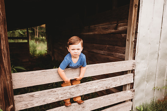 On the Farm-232