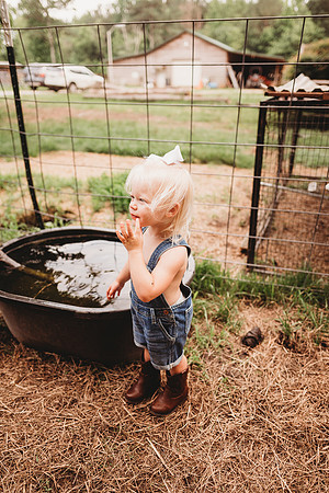 On the Farm-329