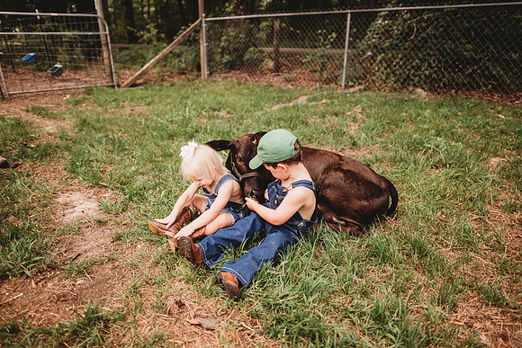 On the Farm-490