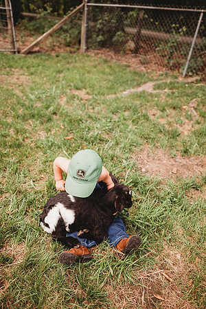 On the Farm-495