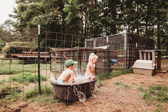 On the Farm-405