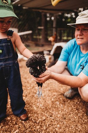 On the Farm-660