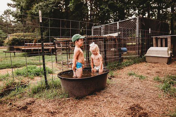 On the Farm-482