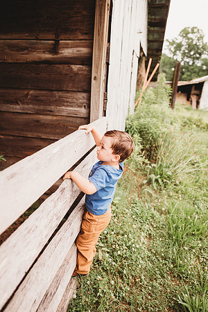 On the Farm-522