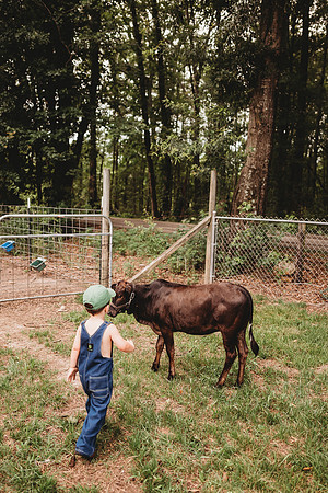 On the Farm-615
