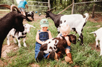 On the Farm-78