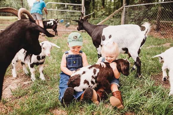 On the Farm-78