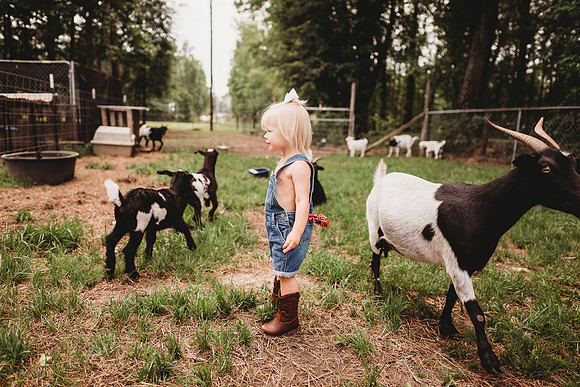 On the Farm-276