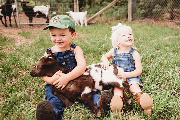 On the Farm-513
