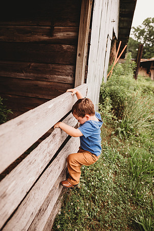 On the Farm-456