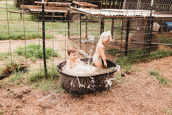 On the Farm-410
