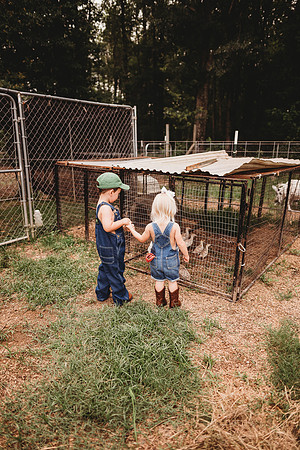 On the Farm-393