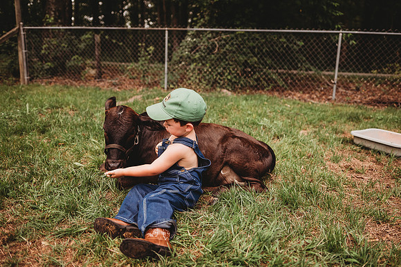 On the Farm-589