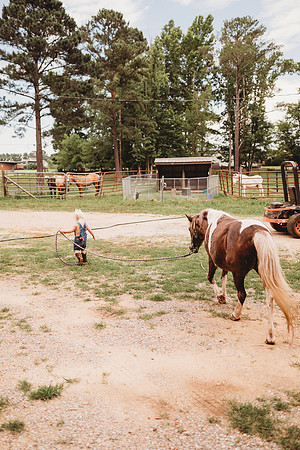 On the Farm-542