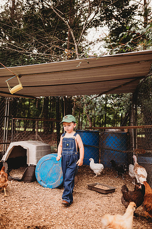 On the Farm-457