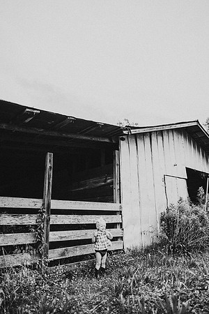 On the Farm-662-2