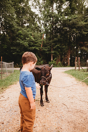 On the Farm-119