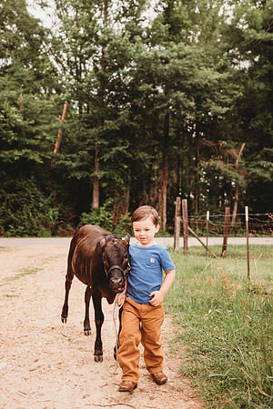 On the Farm-525