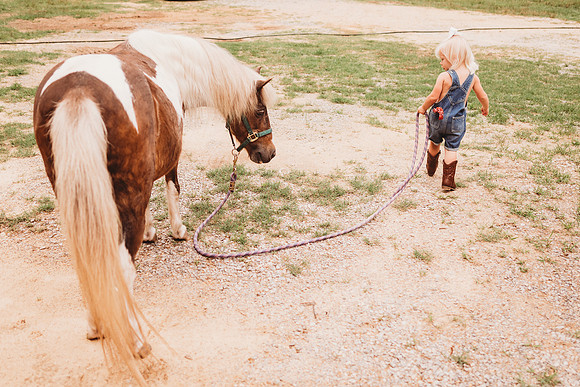 On the Farm-609